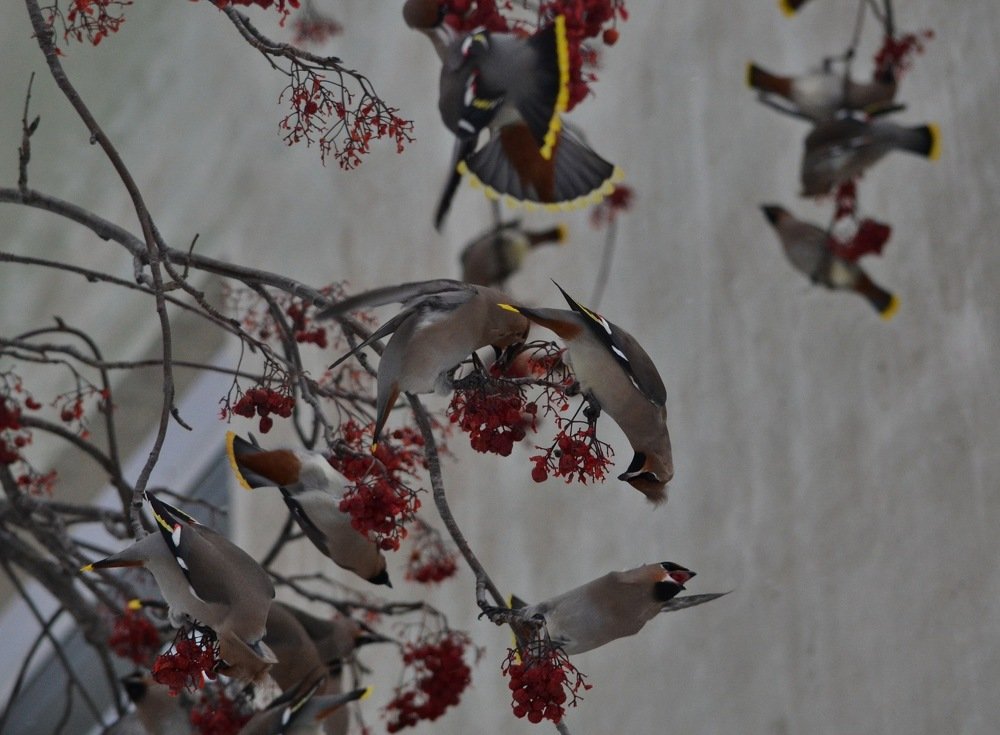 Photograph by Валерия Бердникова