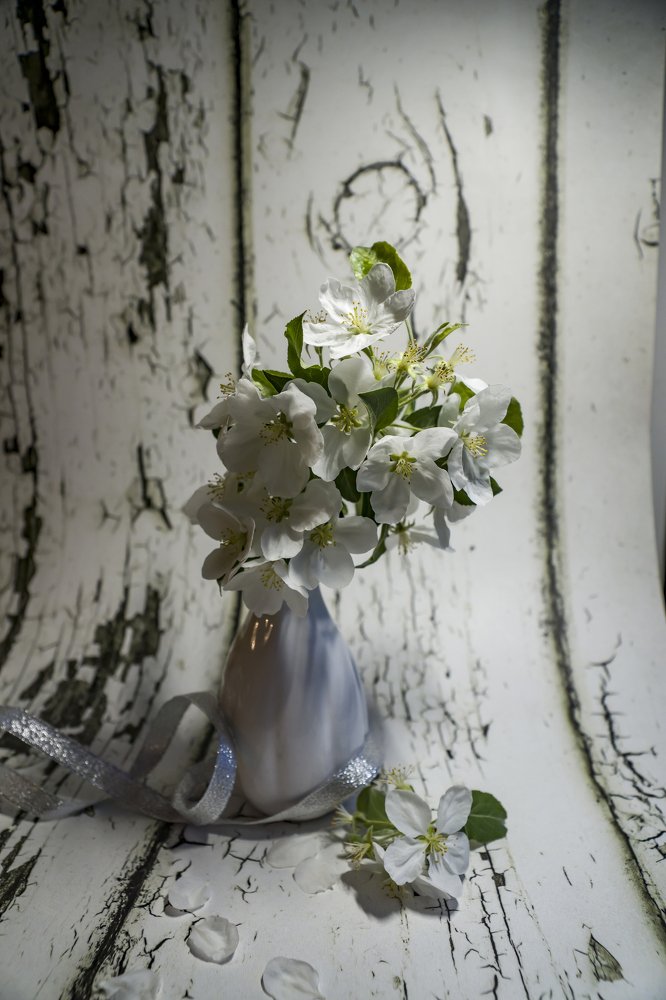 Photograph by Меркулова Наталья Геннадьевна