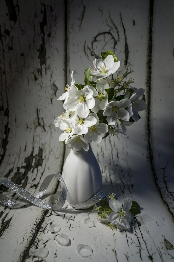 Photograph by Меркулова Наталья Геннадьевна