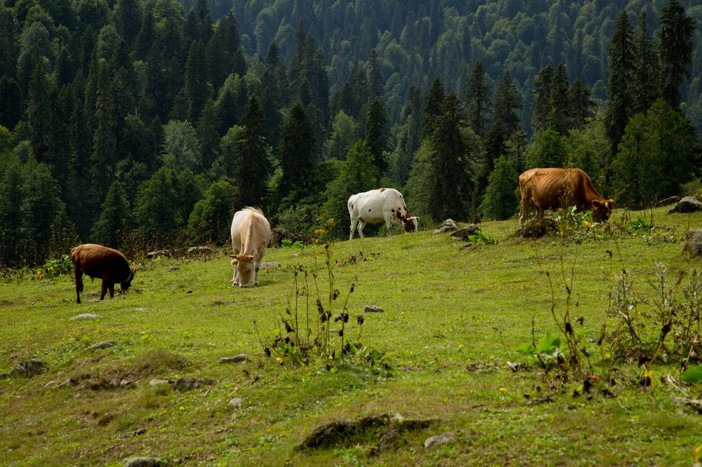 Photograph by Дарья Юсарева