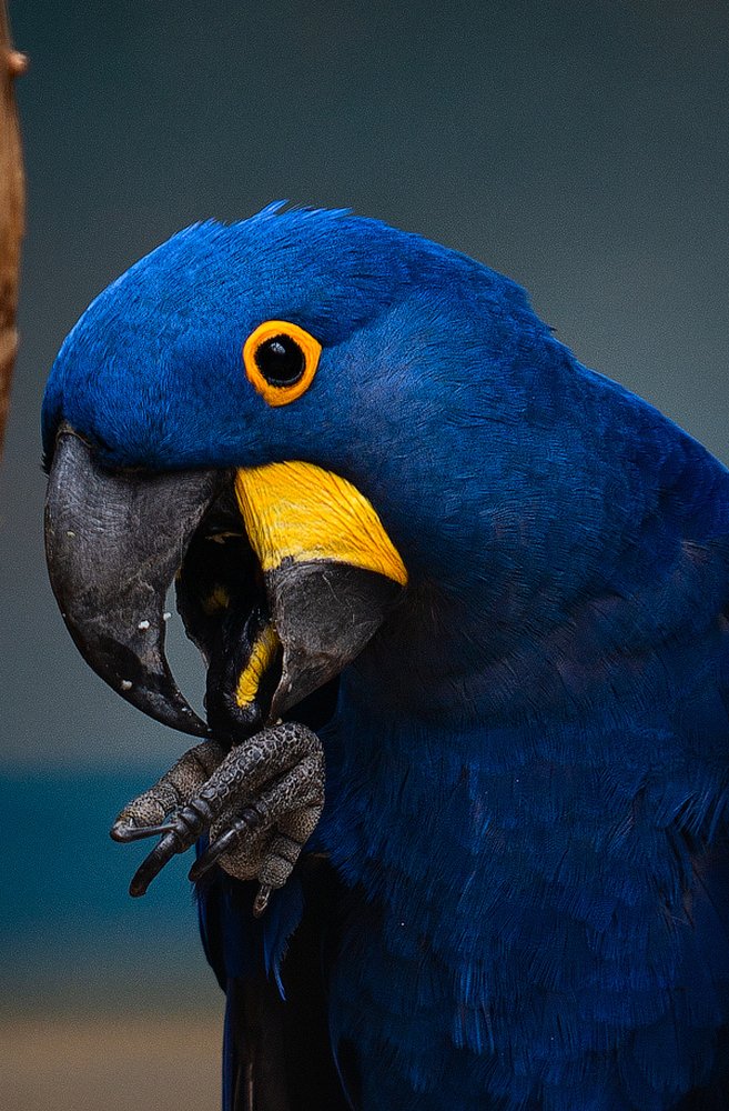 Photograph by Юлия Борт