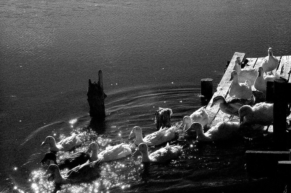 Photograph by Сергей Кузнецов