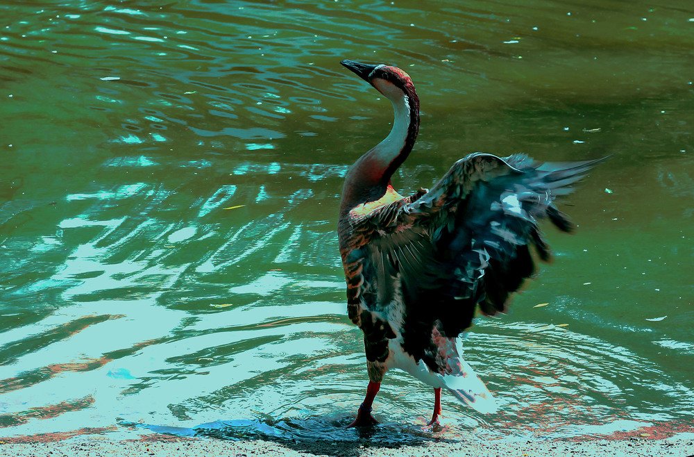 Photograph by Наталья Адалинская