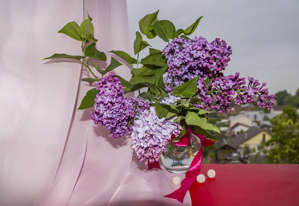 Photograph by Меркулова Наталья Геннадьевна