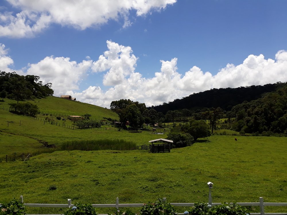 Photo #4901683