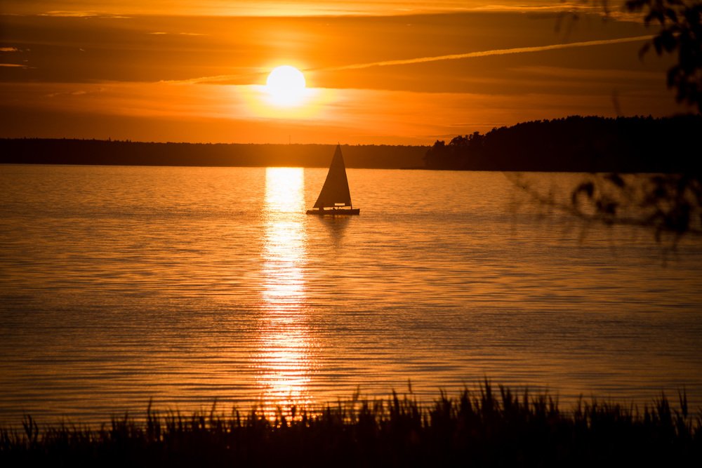 Вечер на пруду