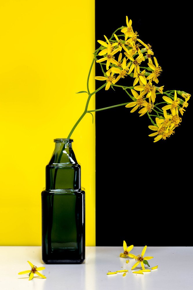 Относительность.