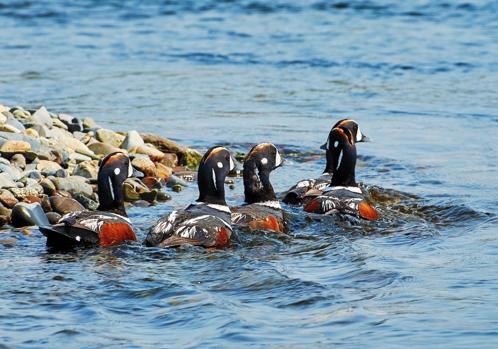 Photograph by Валерий Гончаров
