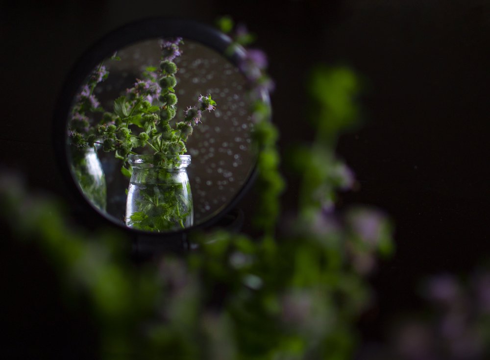 Photograph by Наталья Трусова