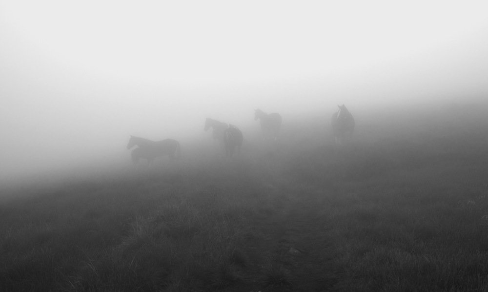 Photograph by Наталья Оболонская