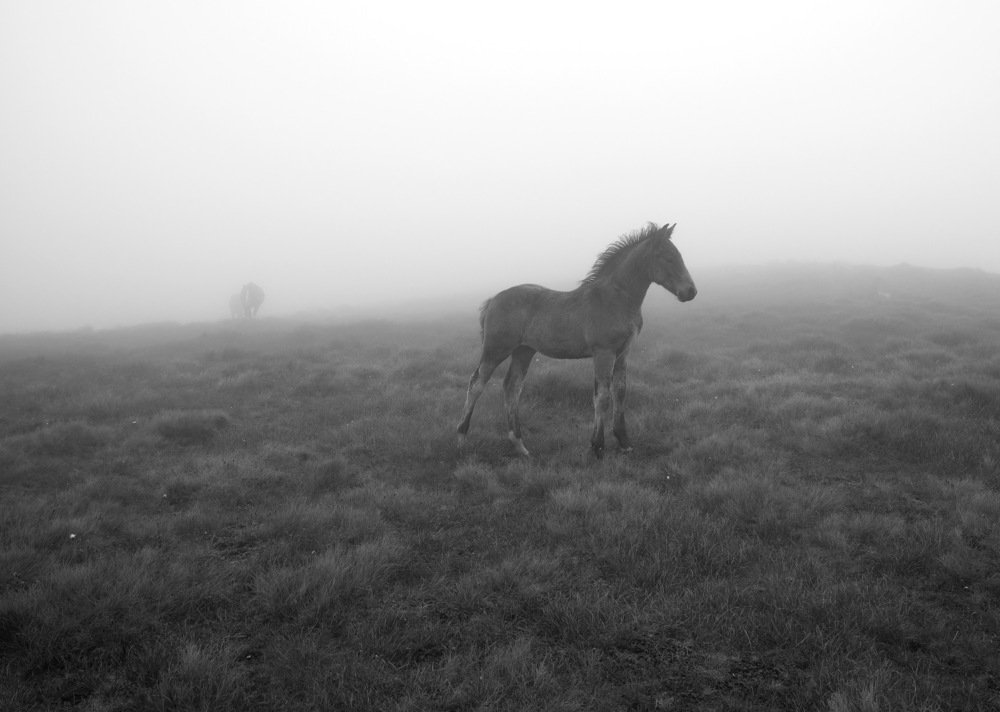 Photograph by Наталья Оболонская