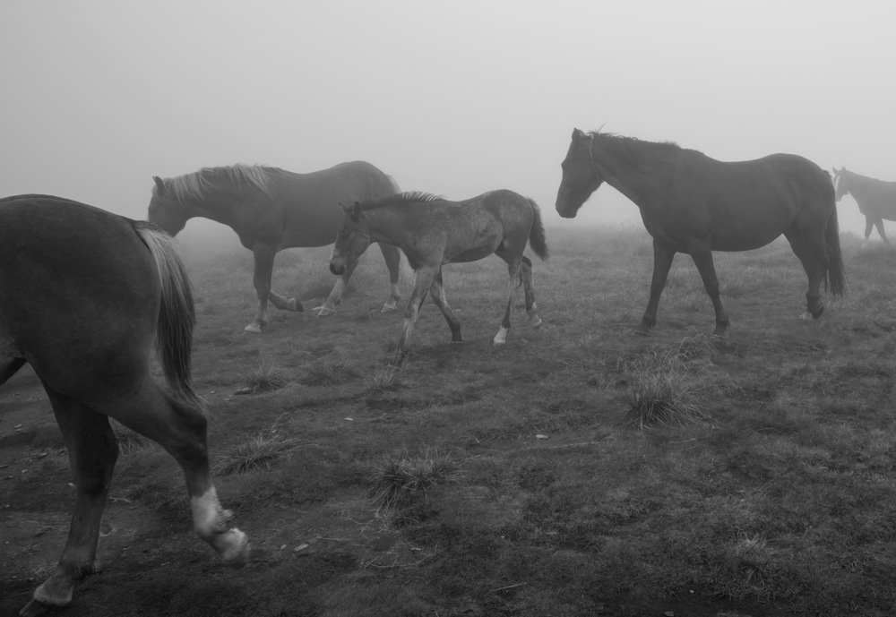 Photograph by Наталья Оболонская