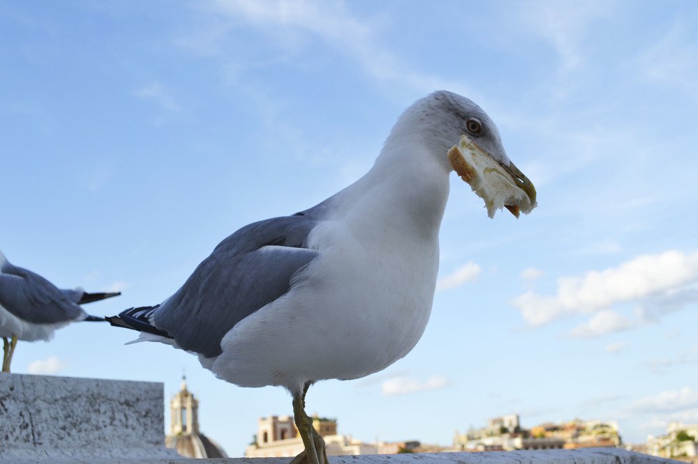 Photograph by Natalia Vishnyakova