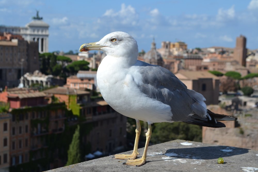 Photograph by Natalia Vishnyakova