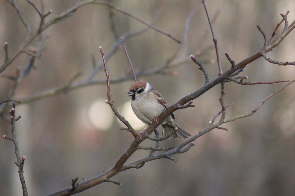 Photograph by Валентина