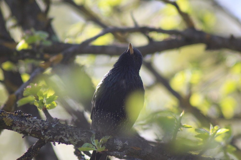 Photograph by Валентина