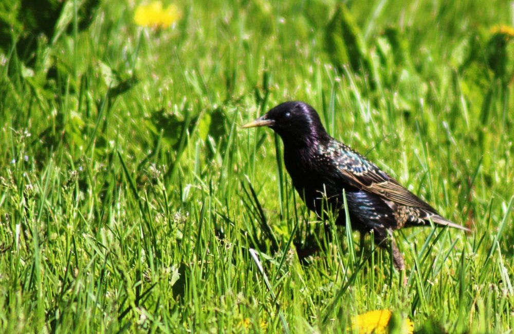 Photograph by Валентина