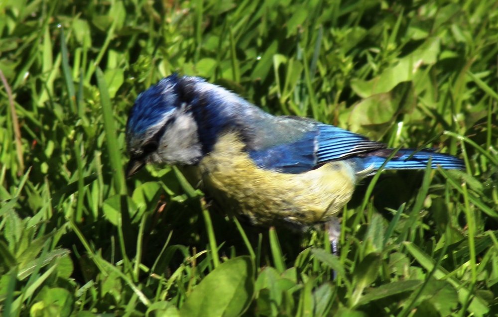 Photograph by Валентина