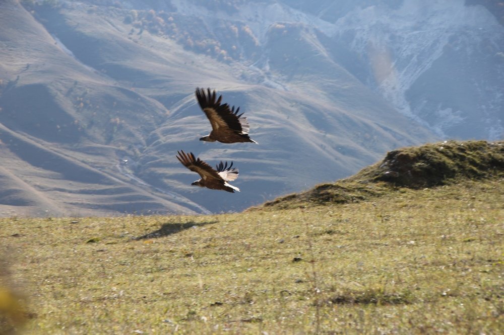 Photograph by Хасаймирза Хасаймирзаев