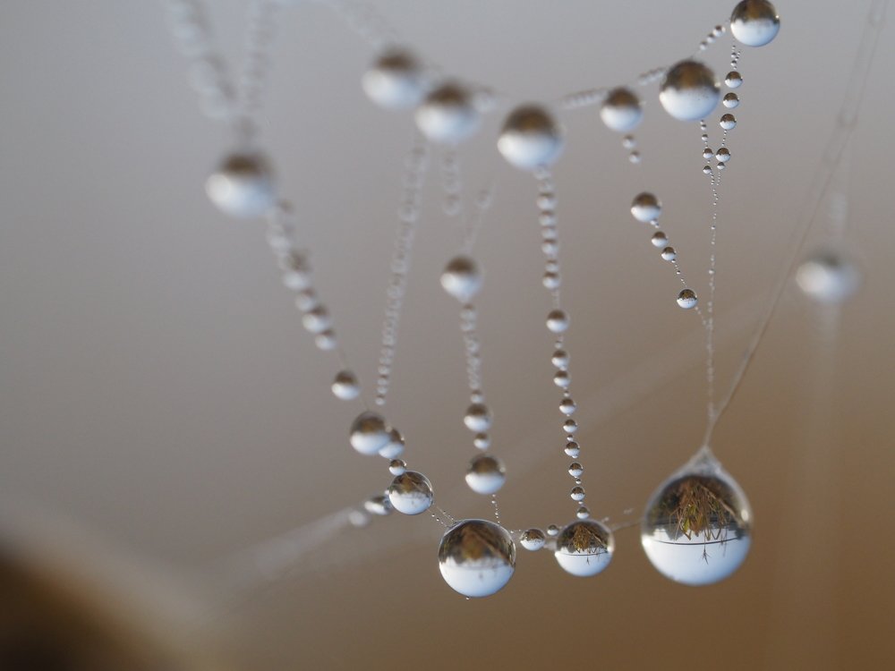 Photograph by Юлия Кравченко