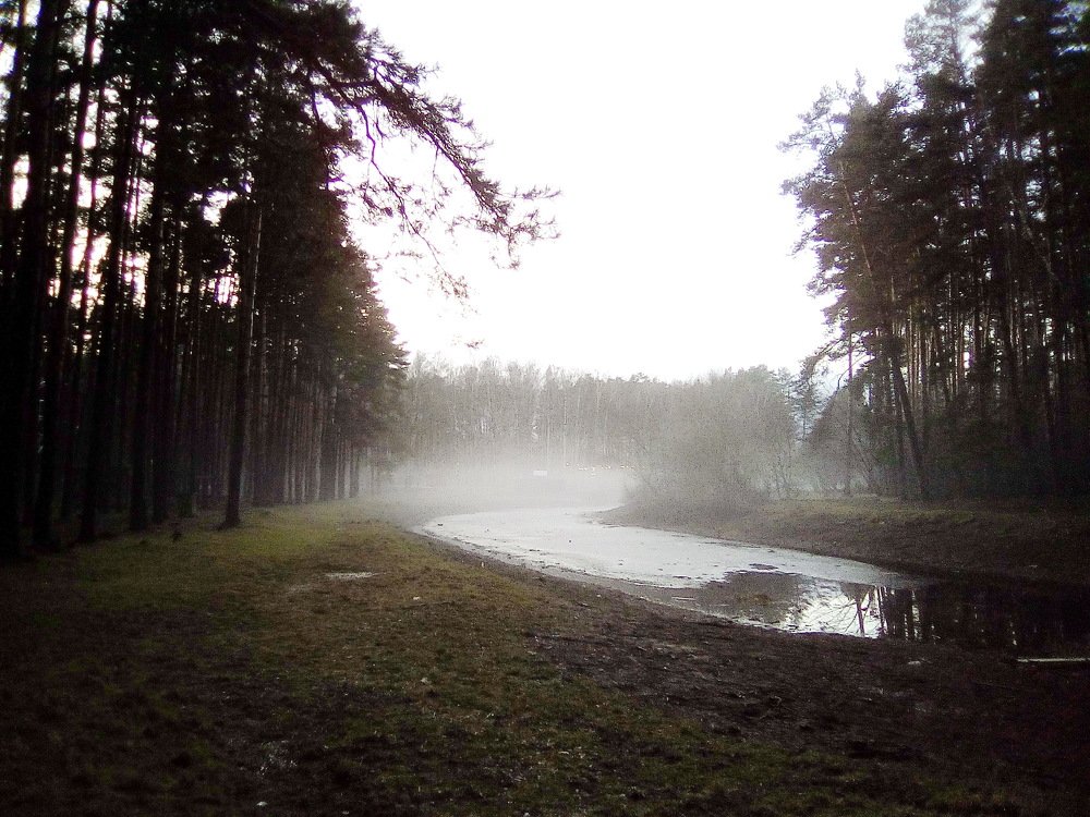 Photograph by Вадим Беляев