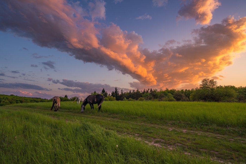 Photograph by Zahari Minchev