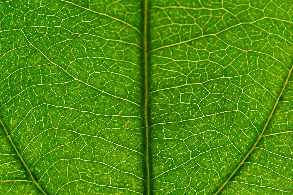 Photograph by Виталий Бодрягин