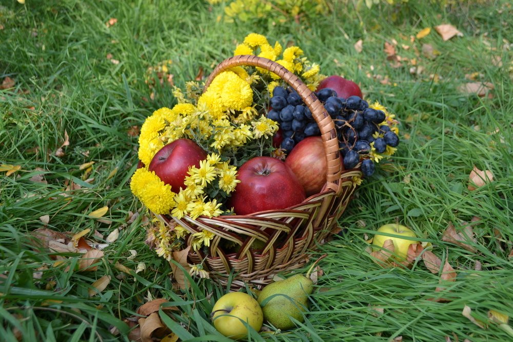 Photograph by Natalia Vishnyakova