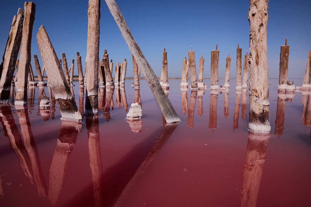 Photograph by Ксения Петрова