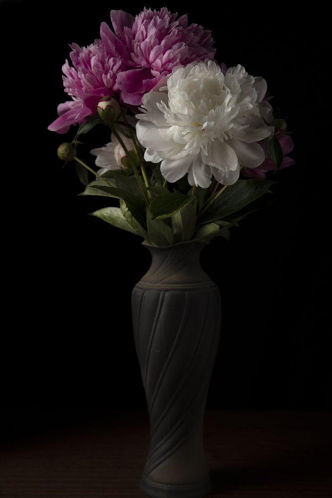 Photograph by Александр Чистоходов