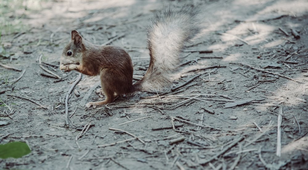 Фотография автора Дмитрий Войнов