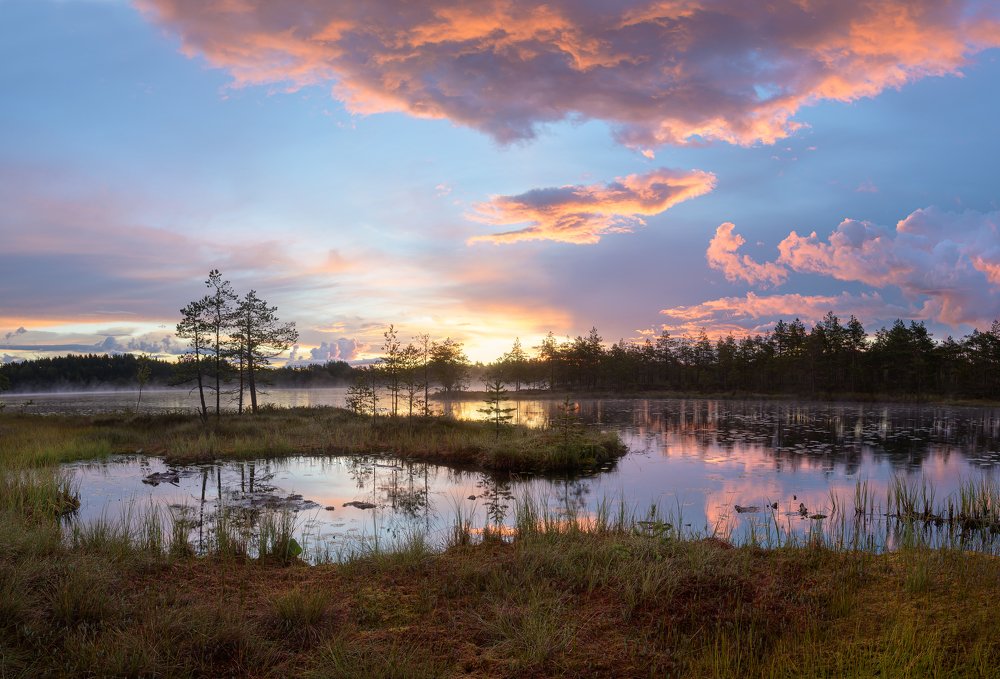 Photograph by Олег Иваницкий