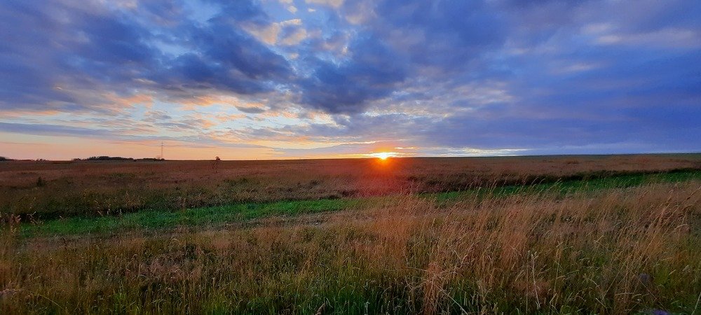 Фотография автора Александр Черепанов