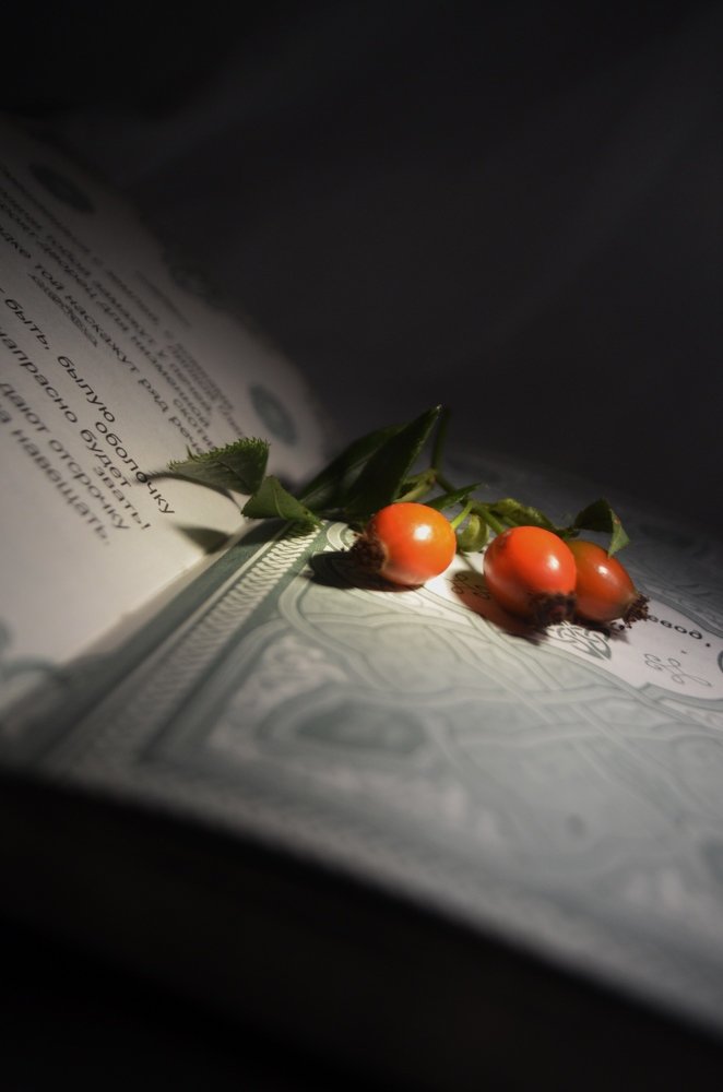 Фотография автора Евгения Илина