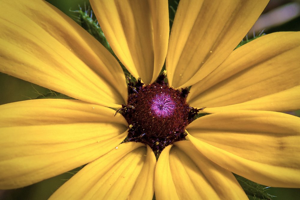 Photograph by Екатерина Рябинина