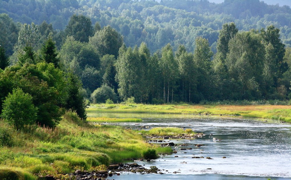 Photograph by Илья Крыжин