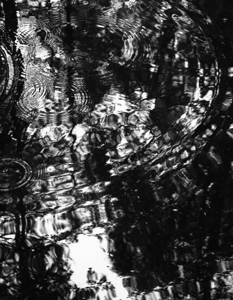 Photograph by Илья Крыжин