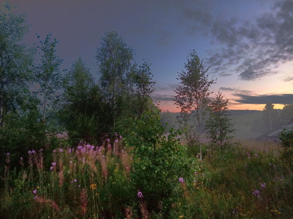 Photograph by Илья Крыжин