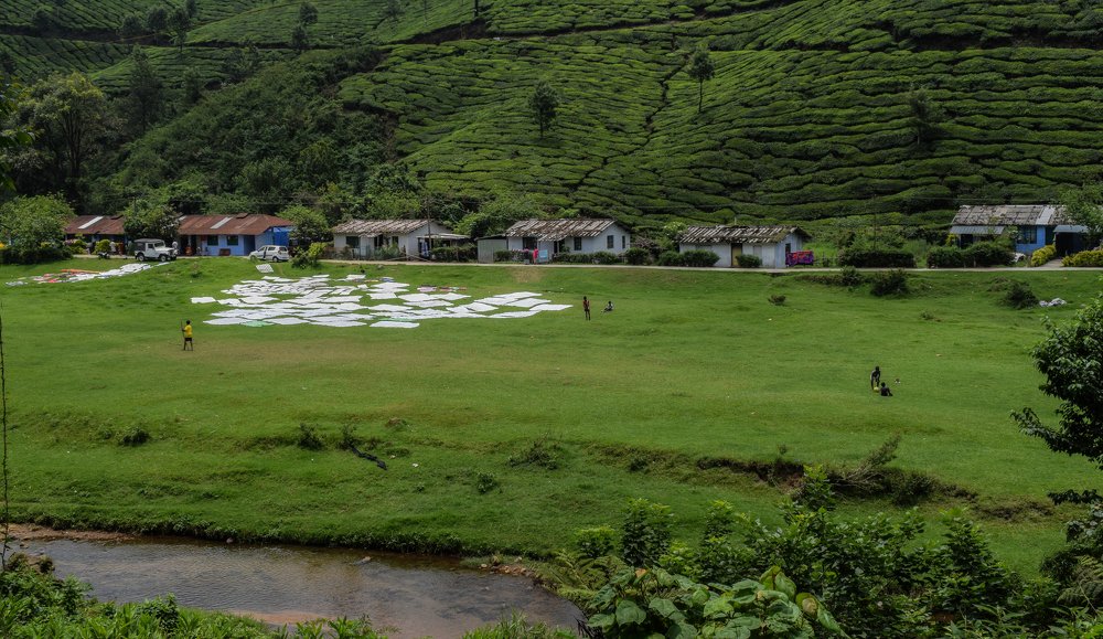 People live in nature