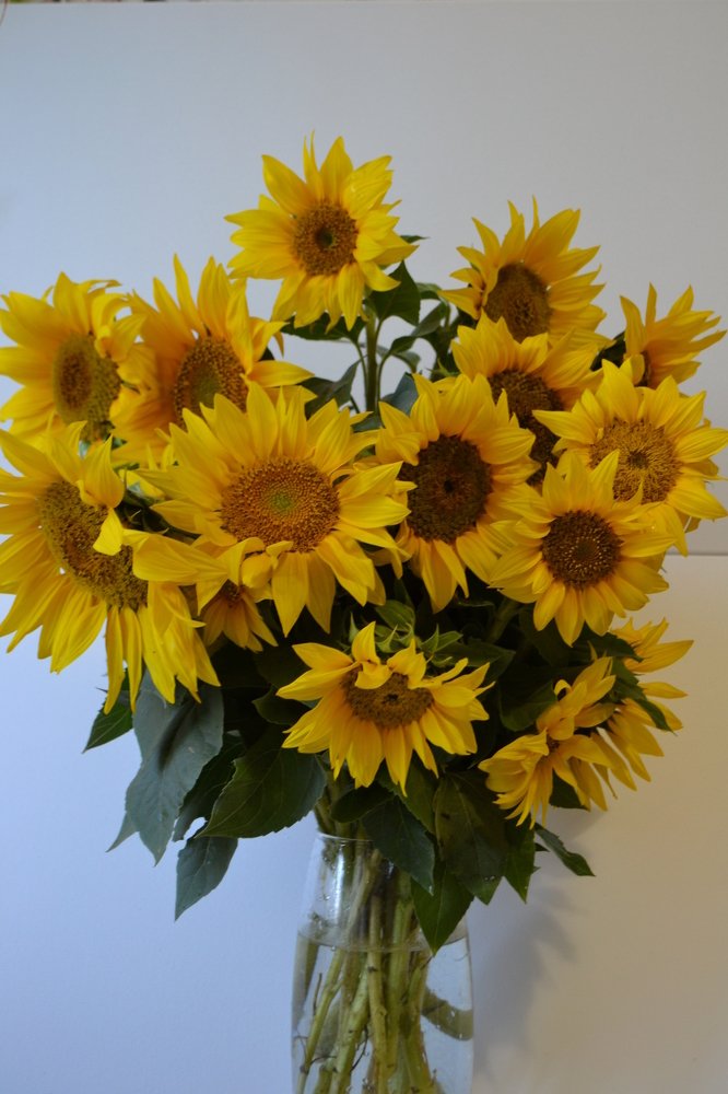 Photograph by Natalia Vishnyakova