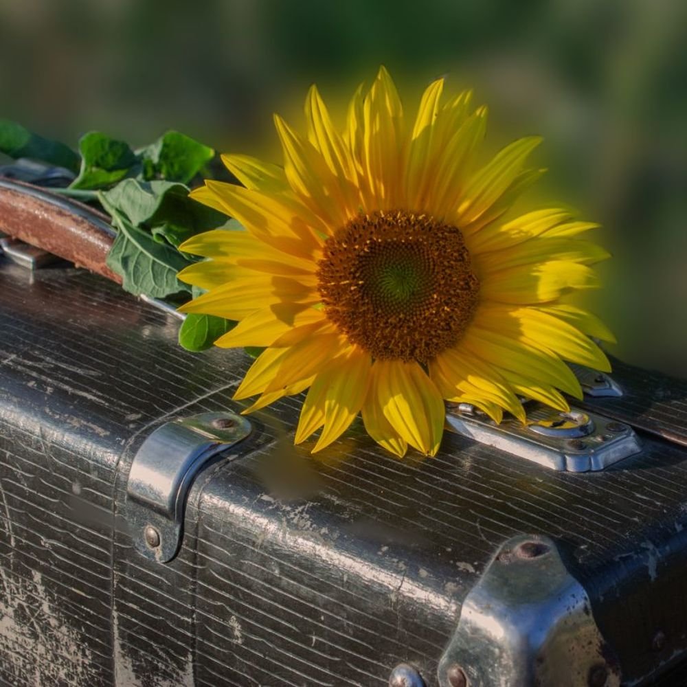 Photograph by Юрий Антоненко