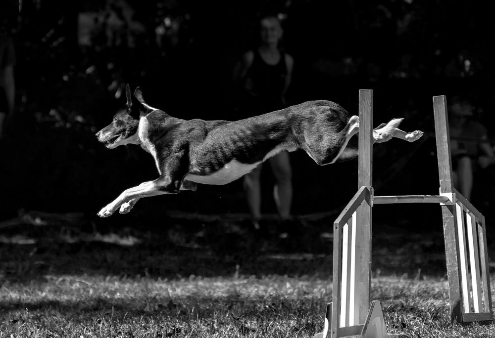 Photograph by Анна Айбетова