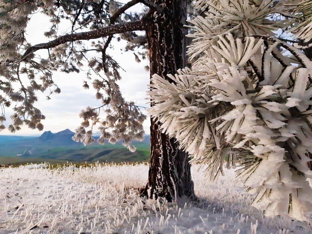 Photograph by Irka Sarkiss\\\\\\\'jan