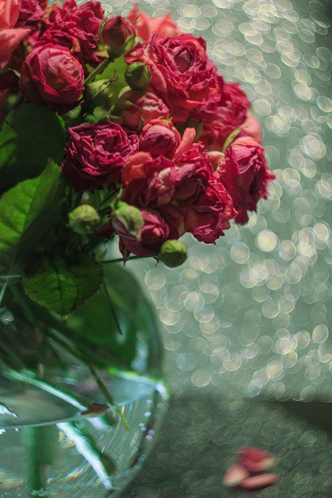 Photograph by Юлия Гречкина