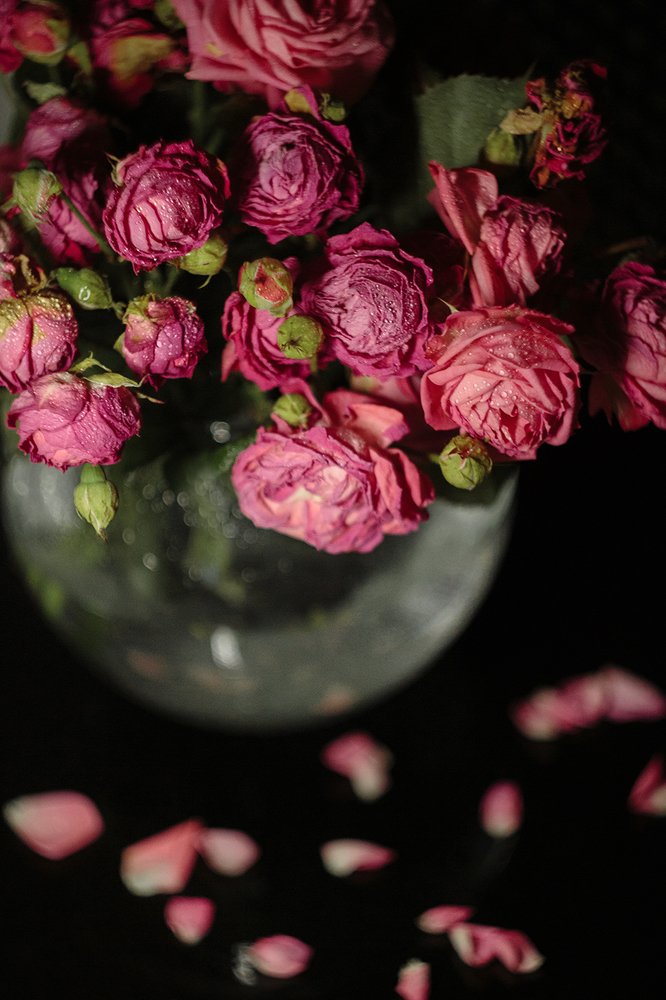 Photograph by Юлия Гречкина