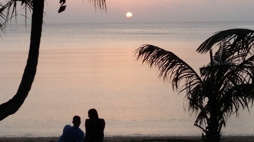 Photo #4902875