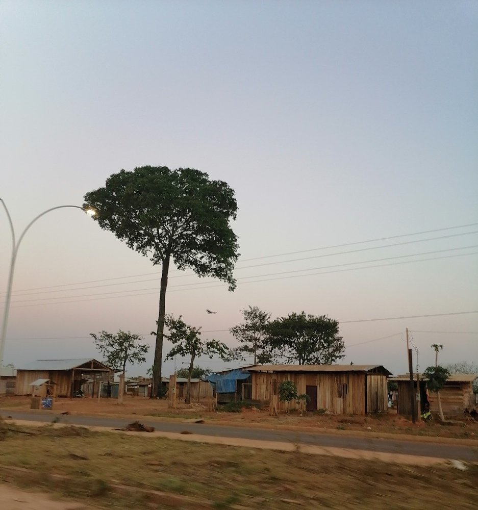 Amazônia
