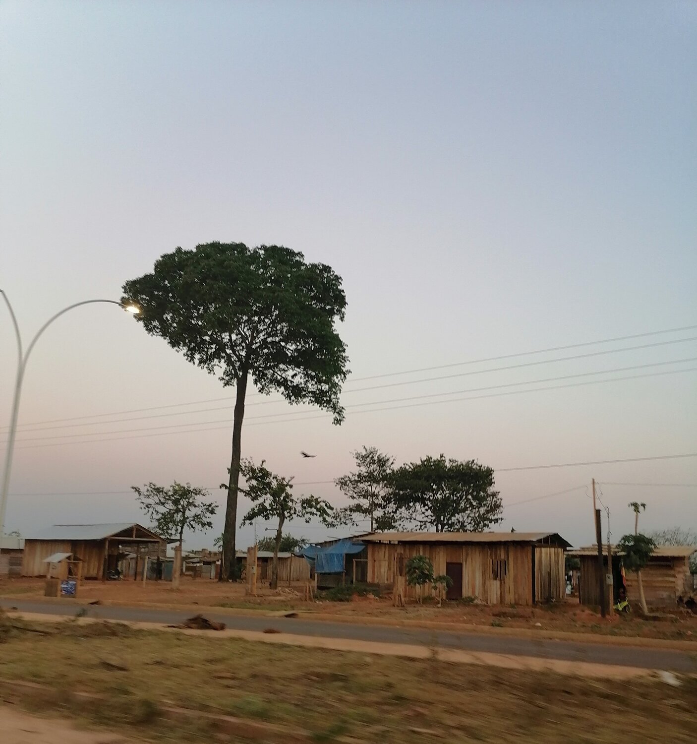 Amazônia