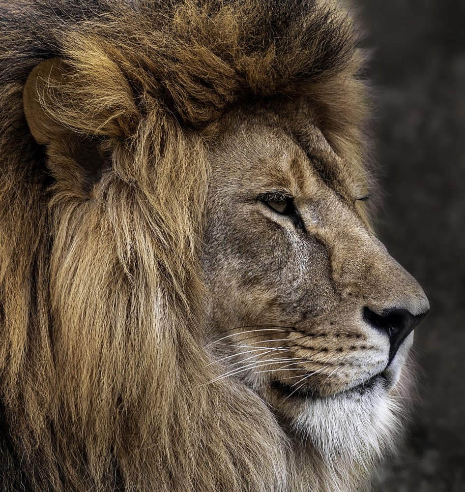 Photograph by Армен Майтесян