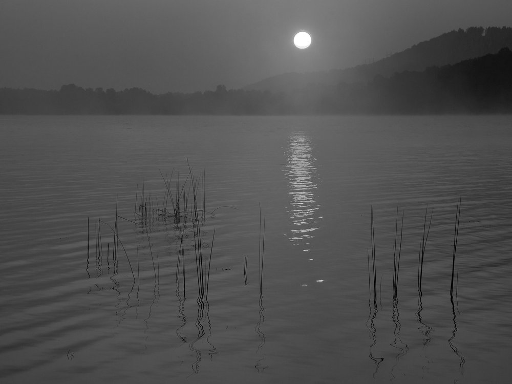 Photograph by Олег Тетерин